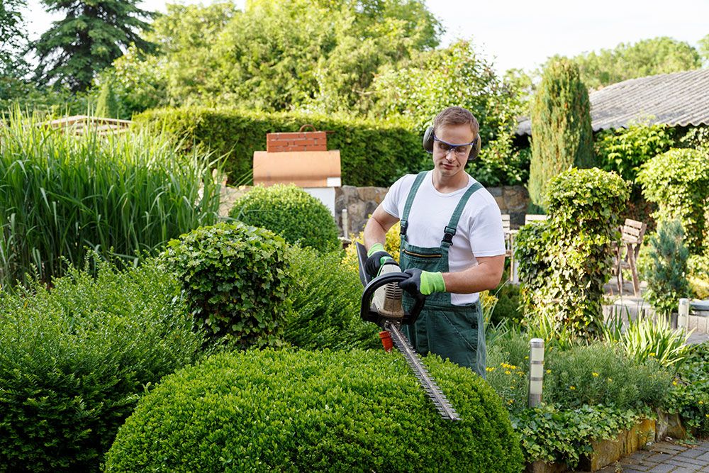 Jardinage a domicile, service de jardinage Domicile Clean